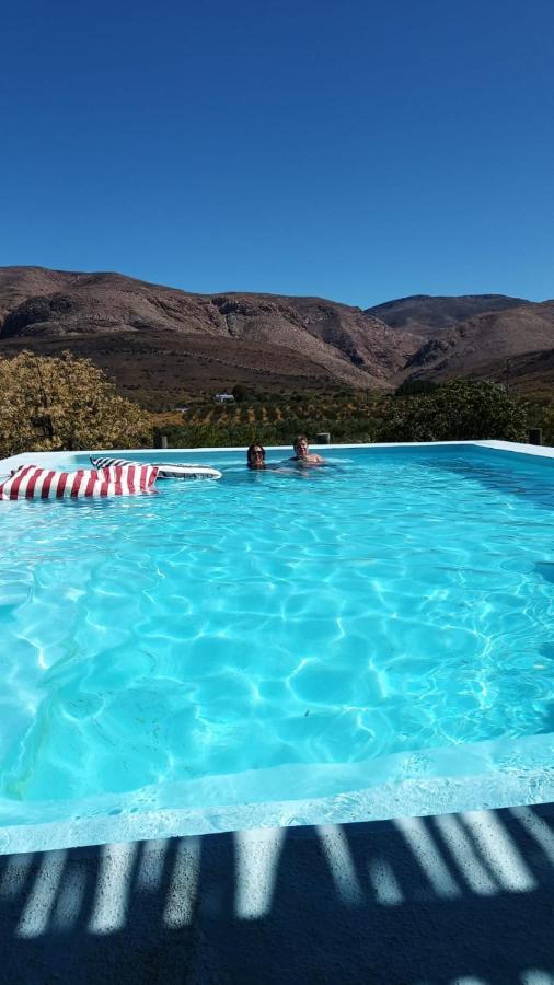 Vrisch Gewagt Boutique Self-Catering Olive Farm Pensionat Prince Albert Exteriör bild