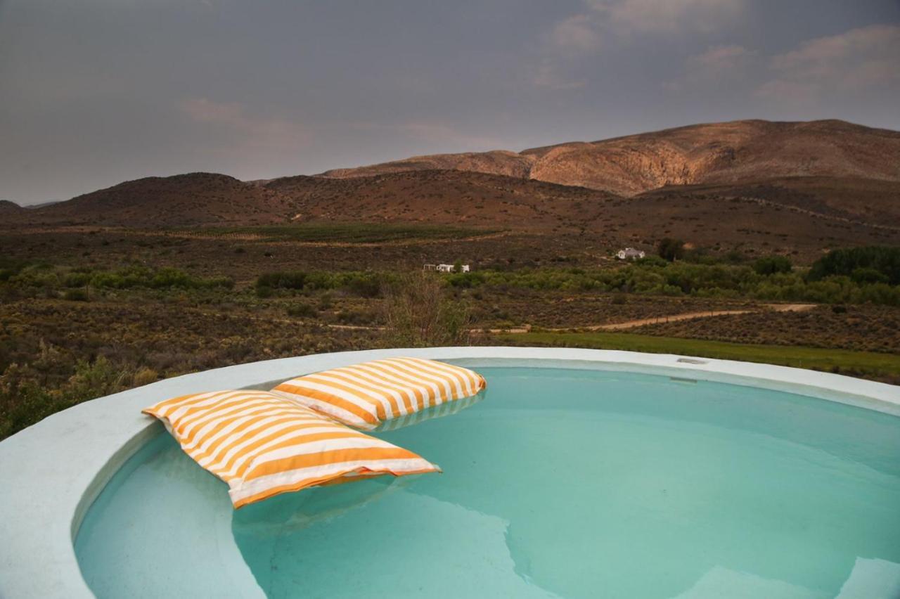 Vrisch Gewagt Boutique Self-Catering Olive Farm Pensionat Prince Albert Exteriör bild