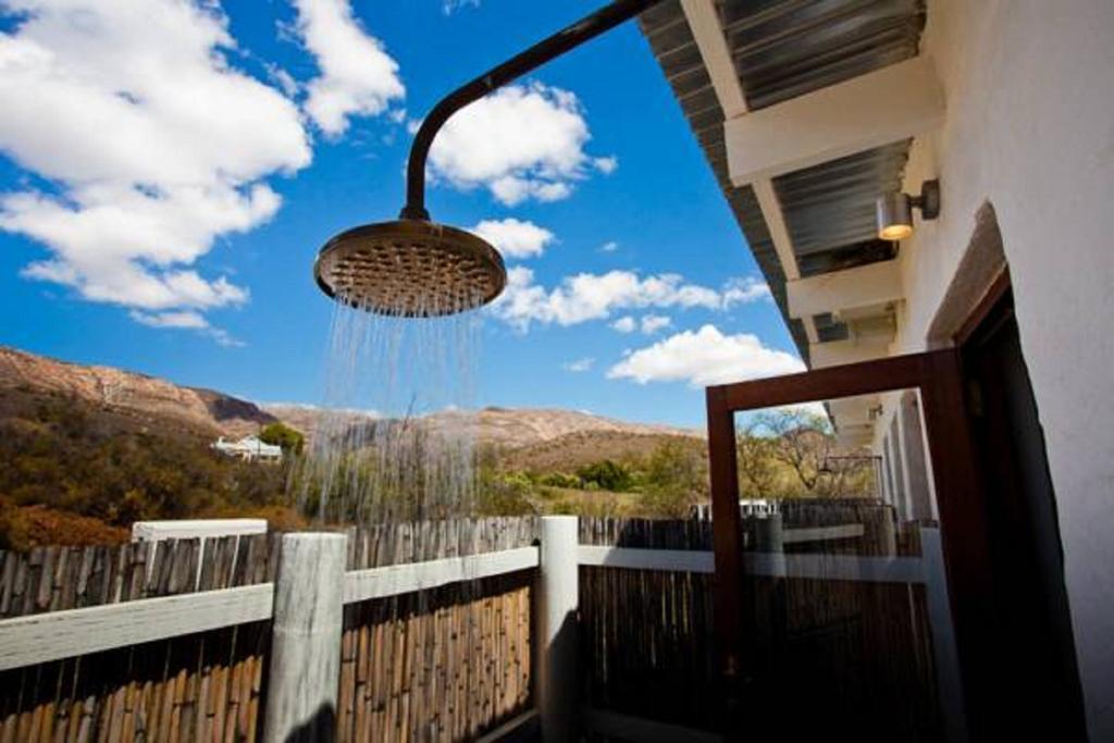 Vrisch Gewagt Boutique Self-Catering Olive Farm Pensionat Prince Albert Rum bild
