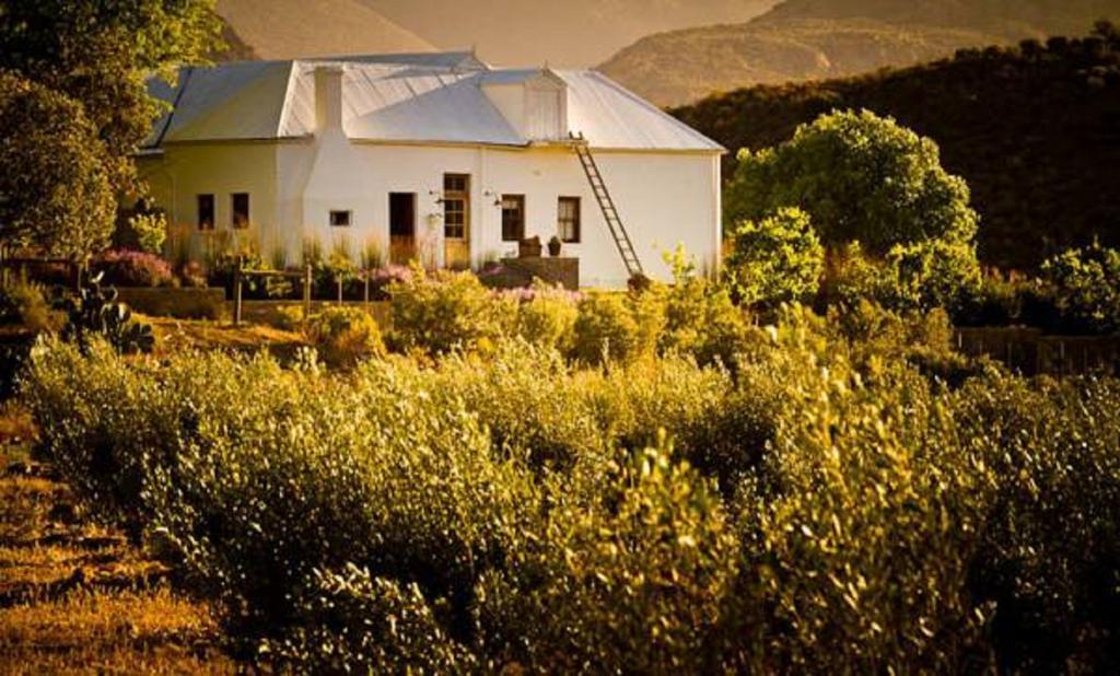 Vrisch Gewagt Boutique Self-Catering Olive Farm Pensionat Prince Albert Exteriör bild