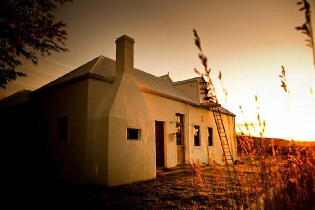 Vrisch Gewagt Boutique Self-Catering Olive Farm Pensionat Prince Albert Exteriör bild