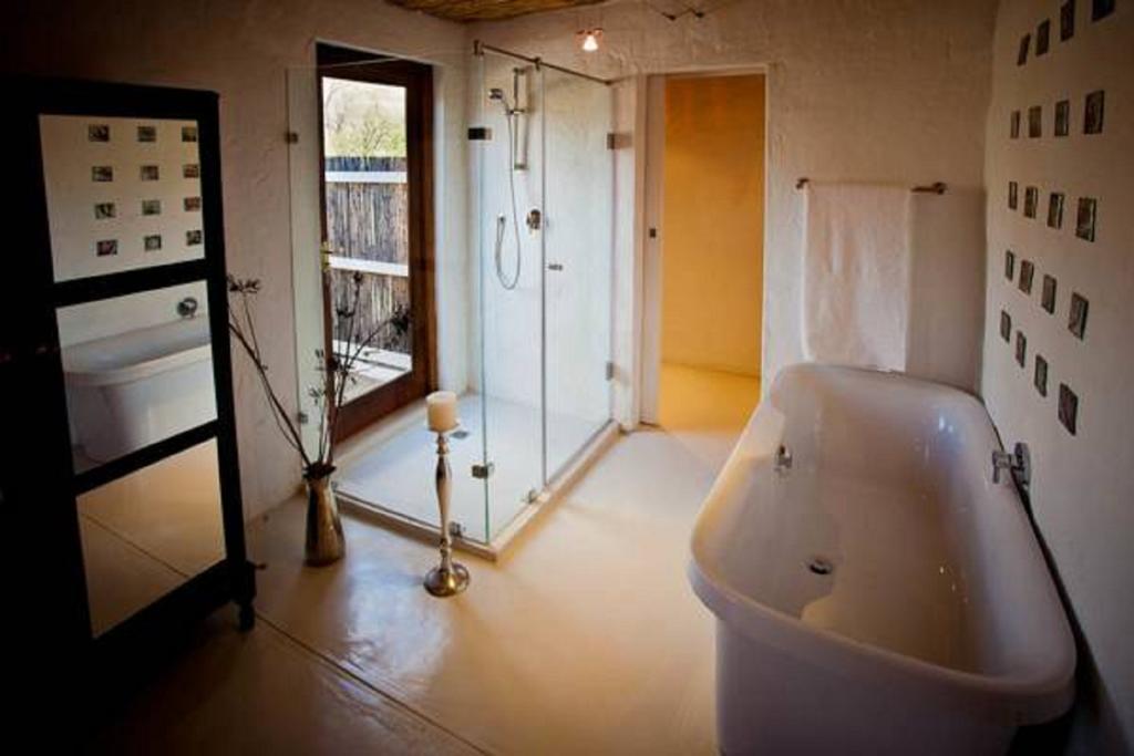 Vrisch Gewagt Boutique Self-Catering Olive Farm Pensionat Prince Albert Rum bild
