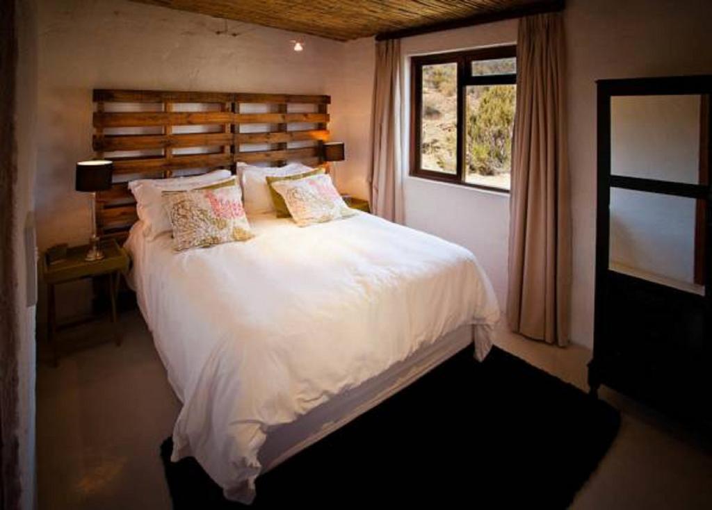 Vrisch Gewagt Boutique Self-Catering Olive Farm Pensionat Prince Albert Rum bild