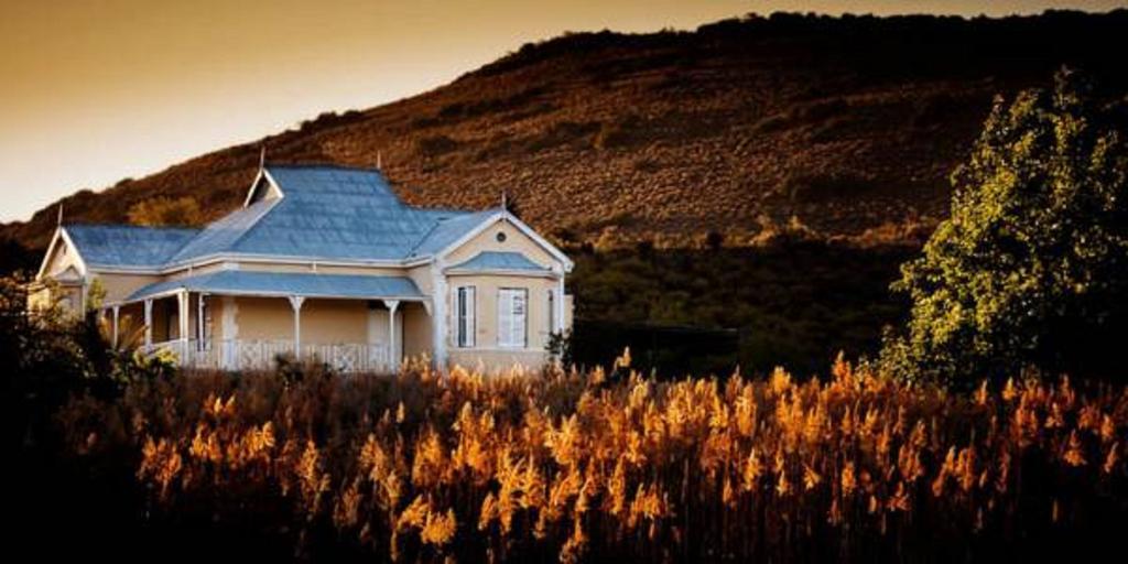 Vrisch Gewagt Boutique Self-Catering Olive Farm Pensionat Prince Albert Exteriör bild